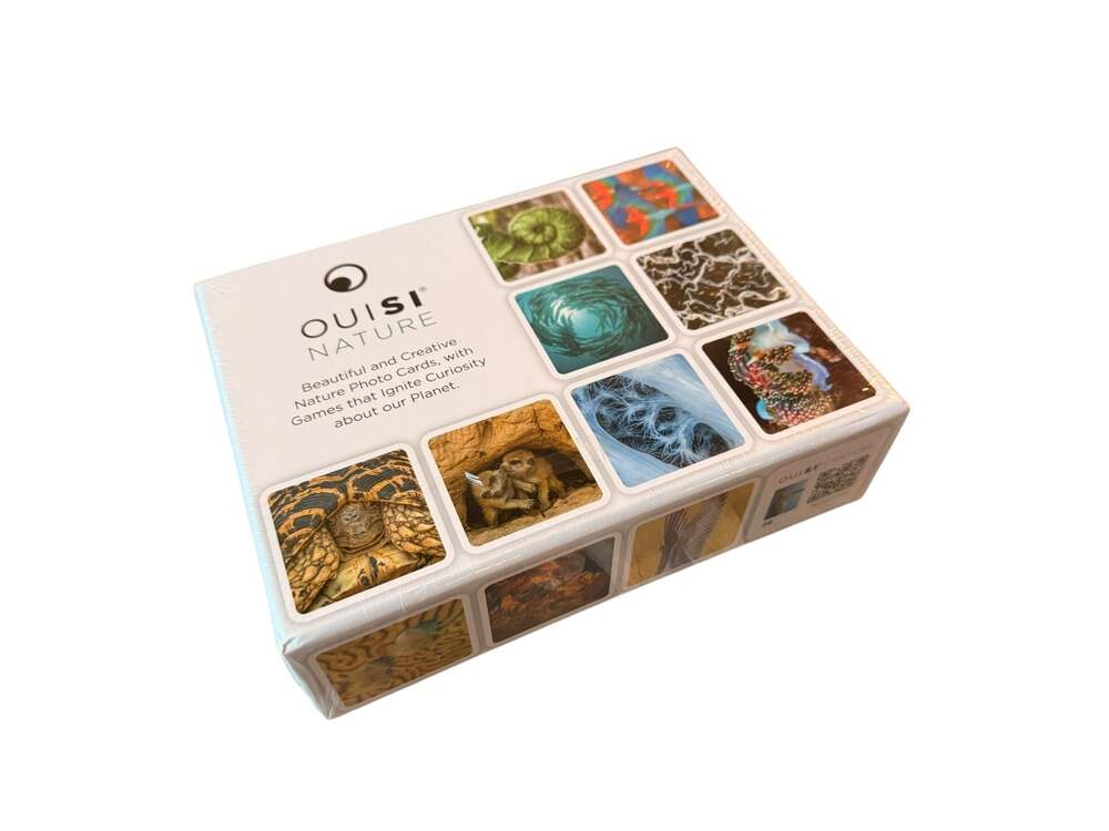 OuiSi Nature Visual Connection Photo Cards and Activity Game